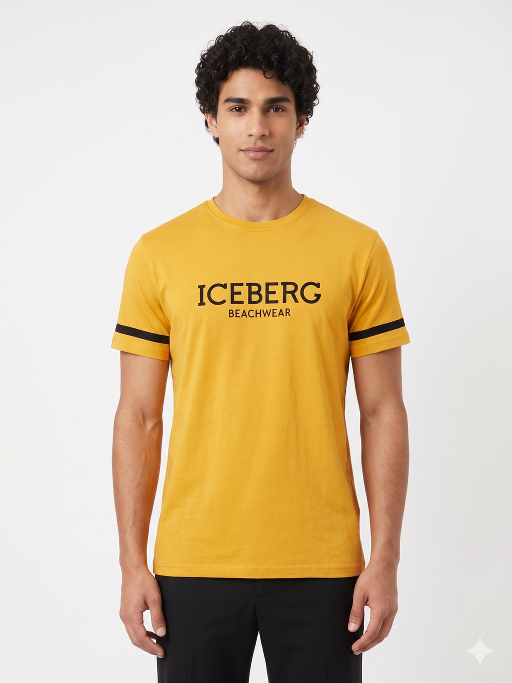 ICE4MTS02 ICEBERG