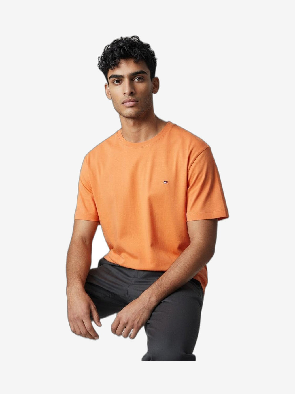 Camisetas y Polos - TOMMY HILFIGER